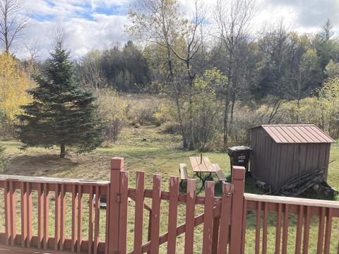 10422 Ford Drive St Helen Mi 48656 Dr, Saint Helen, MI 48656 photo 2