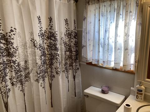 10422 Ford Drive St Helen Mi 48656 Dr, Saint Helen, MI 48656 photo 18