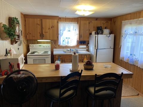 10422 Ford Drive St Helen Mi 48656 Dr, Saint Helen, MI 48656 photo 5