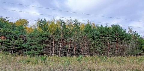 1540 E Hubert Road Spruce Mi 48762 Rd, Spruce, MI 48762 photo 2