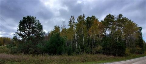 1540 E Hubert Road Spruce Mi 48762 Rd, Spruce, MI 48762 photo 3