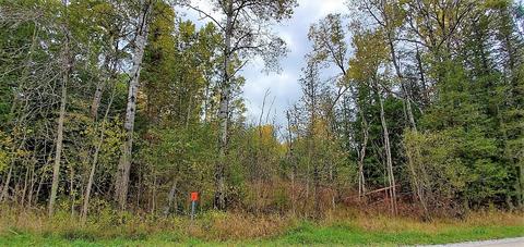 1540 E Hubert Road Spruce Mi 48762 Rd, Spruce, MI 48762 photo 1