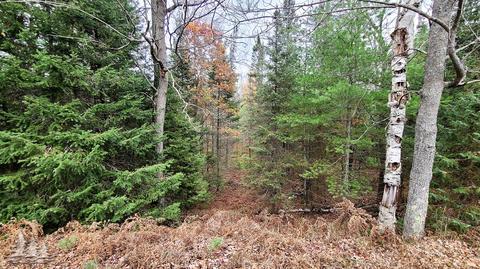 2180 Fire Tower Rd, Lewiston, MI 49756 photo 32