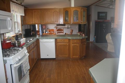 3850 Shooks Rd, Wolverine, MI 49799 photo 4