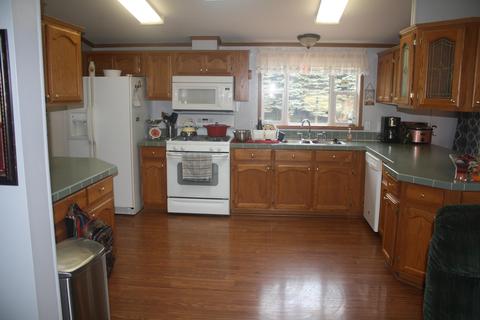 3850 Shooks Rd, Wolverine, MI 49799 photo 5