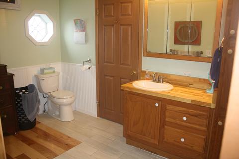 3850 Shooks Rd, Wolverine, MI 49799 photo 14