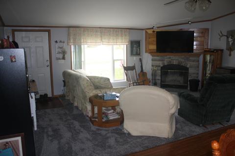 3850 Shooks Rd, Wolverine, MI 49799 photo 9