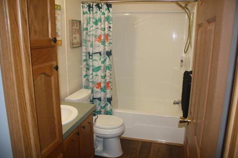 3850 Shooks Rd, Wolverine, MI 49799 photo 15
