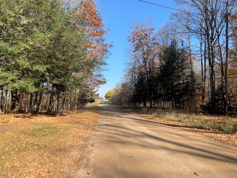 7916 Klein Rd, Hillman, MI 49746 photo 29