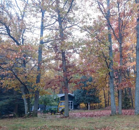 10771 N Murphy Road Roscommon Mi 48653 Rd, Roscommon, MI 48653 photo 4