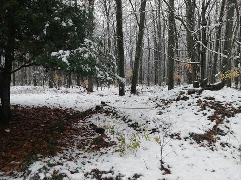 10771 N Murphy Road Roscommon Mi 48653 Rd, Roscommon, MI 48653 photo 29