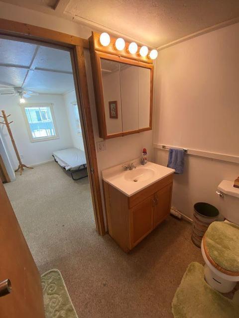 5329 Dwight Street Gladwin Mi 48624 St, Gladwin, MI 48624 photo 20