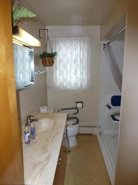 209 E Bingham Street Alpena Mi 49707 St, Alpena, MI 49707 photo 8