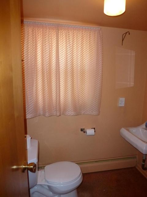 209 E Bingham Street Alpena Mi 49707 St, Alpena, MI 49707 photo 9
