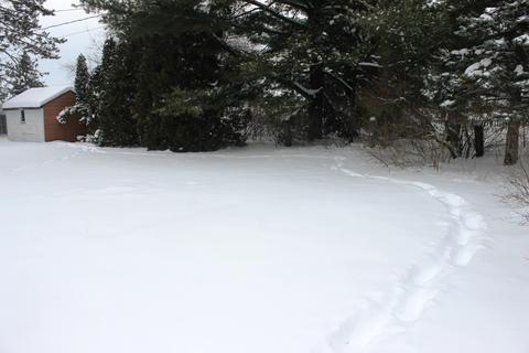 706 Plum Street Grayling Mi 49738 St, Grayling, MI 49738 photo 32