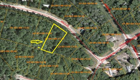 2631 Birch Dr, Wolverine, MI 49799 photo 2