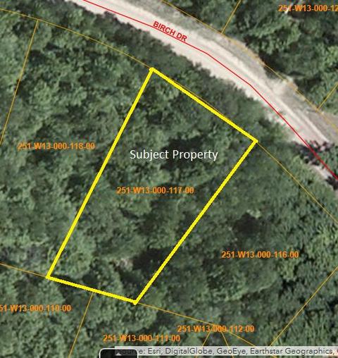 2631 Birch Dr, Wolverine, MI 49799 photo 7