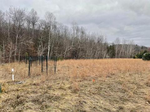 9725 Meyers Road Wolverine Mi 49799 Rd, Wolverine, MI 49799 photo 9