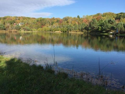 9725 Meyers Road Wolverine Mi 49799 Rd, Wolverine, MI 49799 photo 6