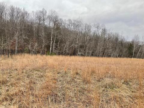 9725 Meyers Road Wolverine Mi 49799 Rd, Wolverine, MI 49799 photo 4