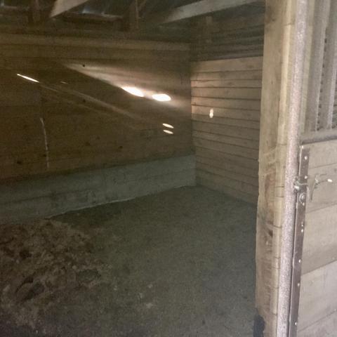 1728 Rogers Road Fairview Mi 48621 Rd, Fairview, MI 48621 photo 24