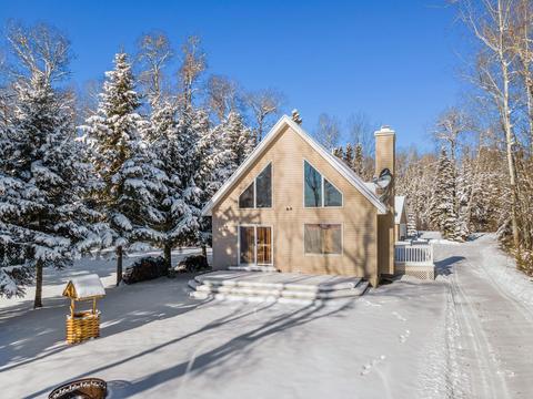 3329 Wurm Rd, Wolverine, MI 49799 photo 23