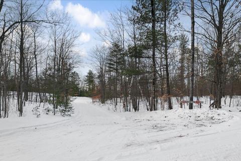 16640 Fir Dr, Wolverine, MI 49799 photo 33