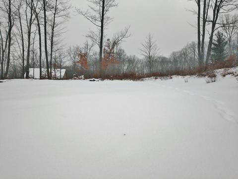 121 Eva Lane Roscommon Mi 48653 Ln, Roscommon, MI 48653 photo 44