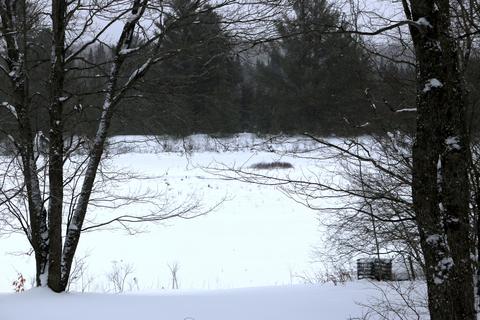 10940 Sutters Mill Rd, Frederic, MI 49733 photo 44