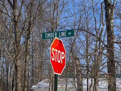 16027 Timber Line Drive Wolverine Mi 49799 Dr, Wolverine, MI 49799 photo 18