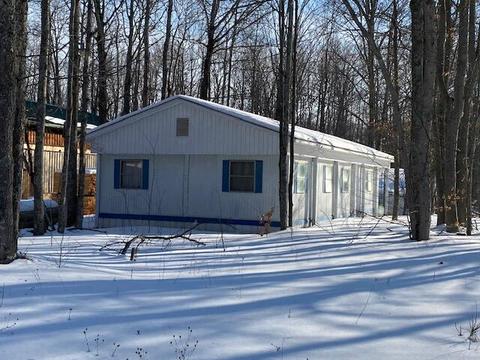 16027 Timber Line Drive Wolverine Mi 49799 Dr, Wolverine, MI 49799 photo 2