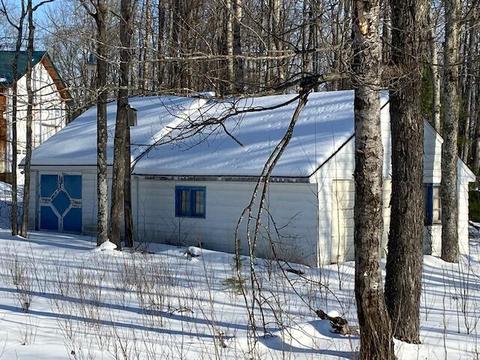 16027 Timber Line Drive Wolverine Mi 49799 Dr, Wolverine, MI 49799 photo 3