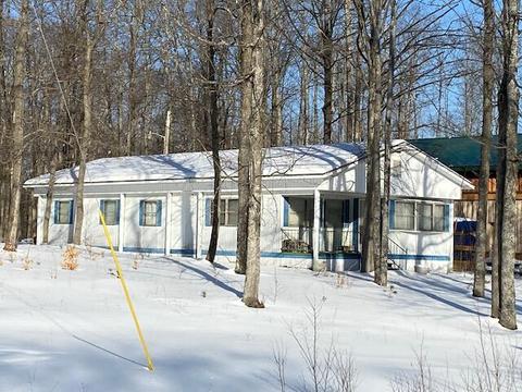 16027 Timber Line Drive Wolverine Mi 49799 Dr, Wolverine, MI 49799 photo 1