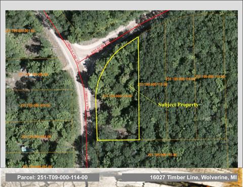 16027 Timber Line Drive Wolverine Mi 49799 Dr, Wolverine, MI 49799 photo 4