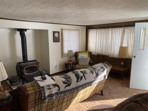 16027 Timber Line Drive Wolverine Mi 49799 Dr, Wolverine, MI 49799 photo 6