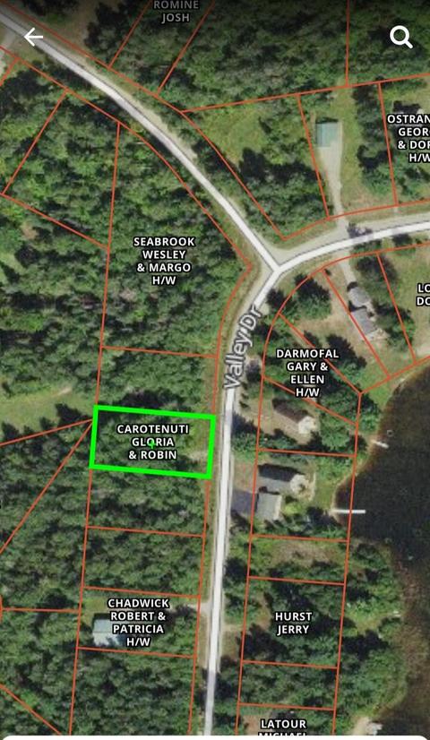 15262 Valley Drive Wolverine Mi 49799 Dr, Wolverine, MI 49799 photo 7