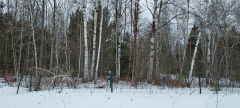 15262 Valley Drive Wolverine Mi 49799 Dr, Wolverine, MI 49799 photo 9