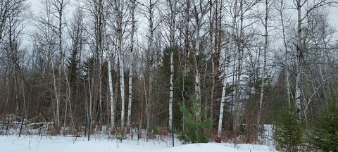 15262 Valley Drive Wolverine Mi 49799 Dr, Wolverine, MI 49799 photo 8