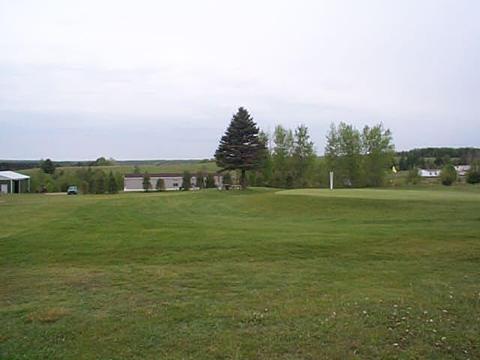 3561 Golfview Drive Wolverine Mi 49799 Dr, Wolverine, MI 49799 photo 6