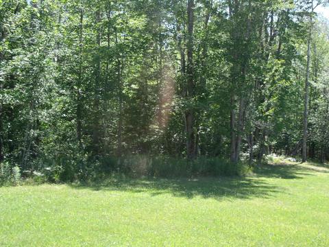 3561 Golfview Drive Wolverine Mi 49799 Dr, Wolverine, MI 49799 photo 1