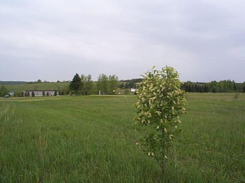 3561 Golfview Drive Wolverine Mi 49799 Dr, Wolverine, MI 49799 photo 7