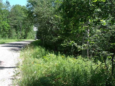 3561 Golfview Drive Wolverine Mi 49799 Dr, Wolverine, MI 49799 photo 4