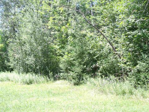 3561 Golfview Drive Wolverine Mi 49799 Dr, Wolverine, MI 49799 photo 3