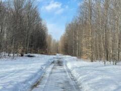 5690 Twin Peaks Rd, Frederic, MI 49733 photo 18