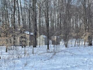 5690 Twin Peaks Rd, Frederic, MI 49733 photo 4
