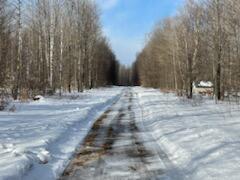 5690 Twin Peaks Rd, Frederic, MI 49733 photo 3