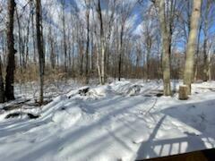 5690 Twin Peaks Rd, Frederic, MI 49733 photo 19