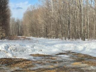 5690 Twin Peaks Rd, Frederic, MI 49733 photo 20