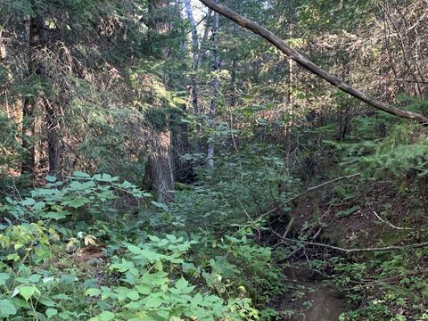 18397 Meadow Lane 32 Acres Rudyard Mi 49780 Ln #32 ACRES, Rudyard, MI 49780