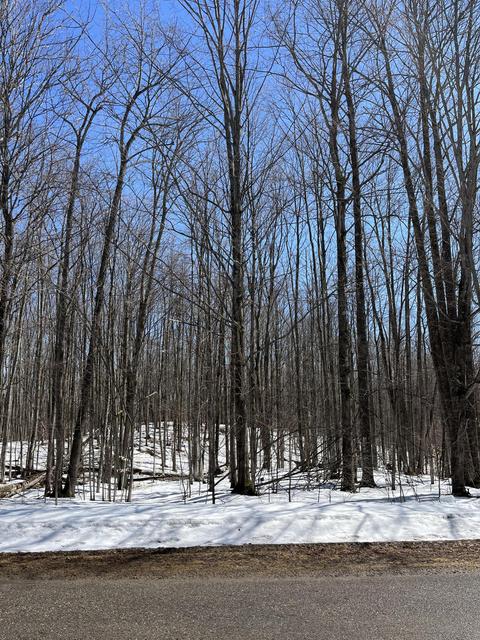 28 Mt Vernon Hills Drive Vanderbilt Mi 49795 Dr, Vanderbilt, MI 49795